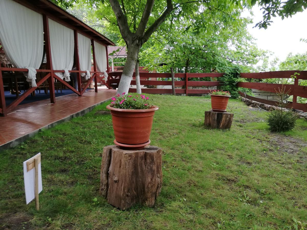 Grace Villa Codru Kültér fotó
